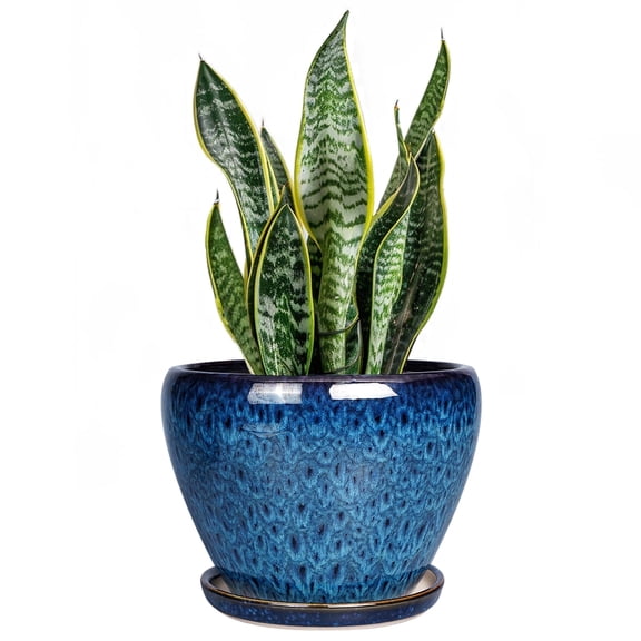 Ordivic 6 inch Ceramic Planter with Drainage Hole & Saucer for Indoor Succulents & Herbs, Blue Glaze Home Decor