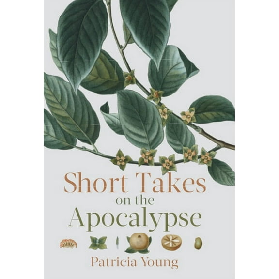 Short Takes on the Apocalypse  Paperback  Patricia Young
