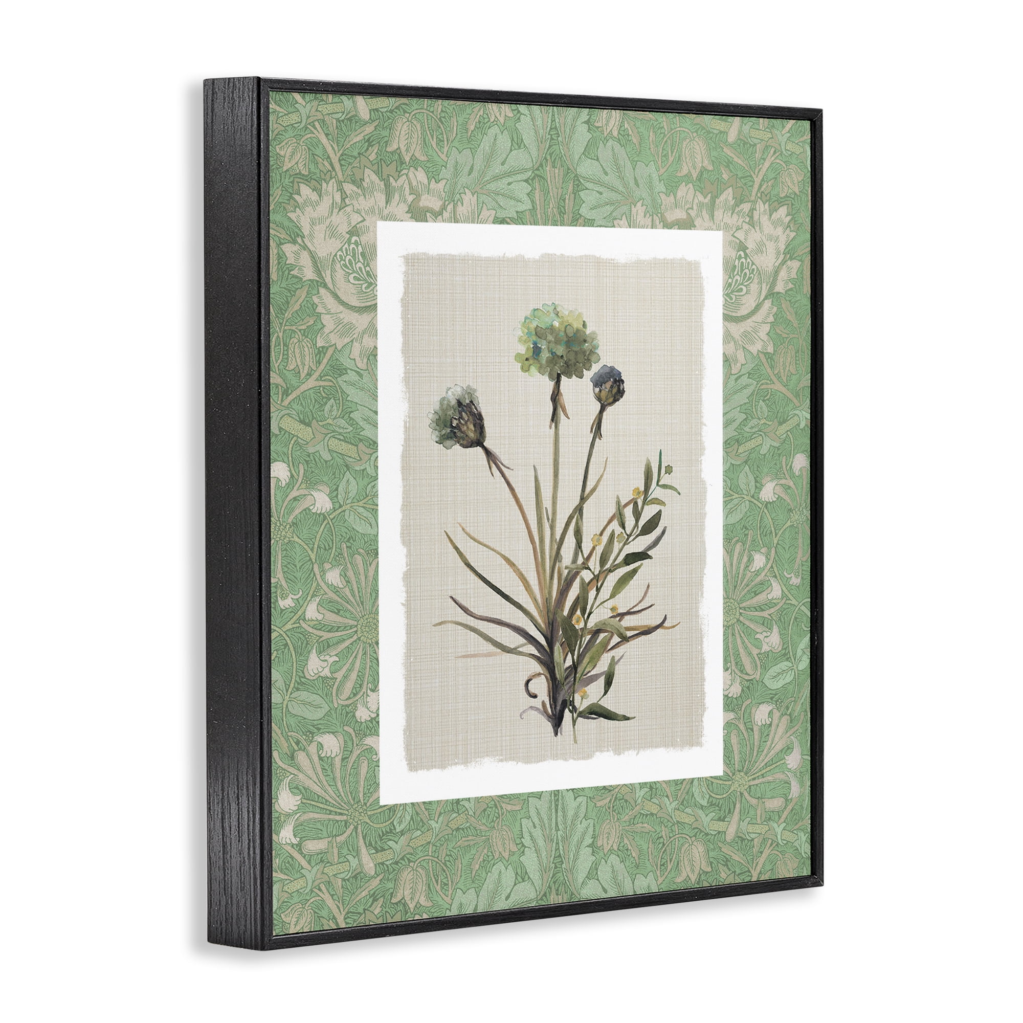 Stupell Industries Vintage Foliage in Green Black Framed Giclee Art, design by Carol Robinson