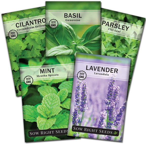Popular Herb Garden Seed Collection - Non GMO Varieties - 5 Count