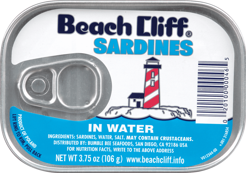 Beach Cliff Sardines in Water