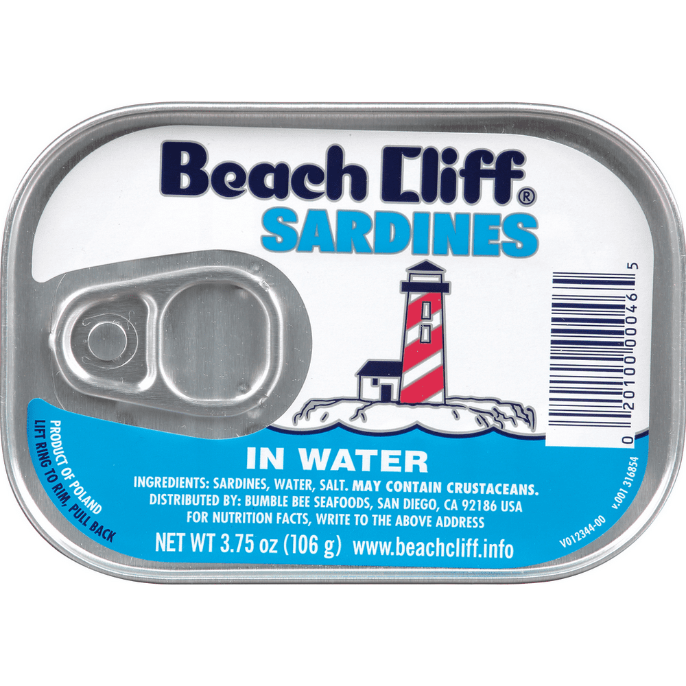 Beach Cliff Sardines in Water
