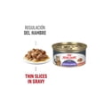 thumbnail image 2 of Royal Canin Alimento húmedo para gato appetite control 24pza, 2 of 4