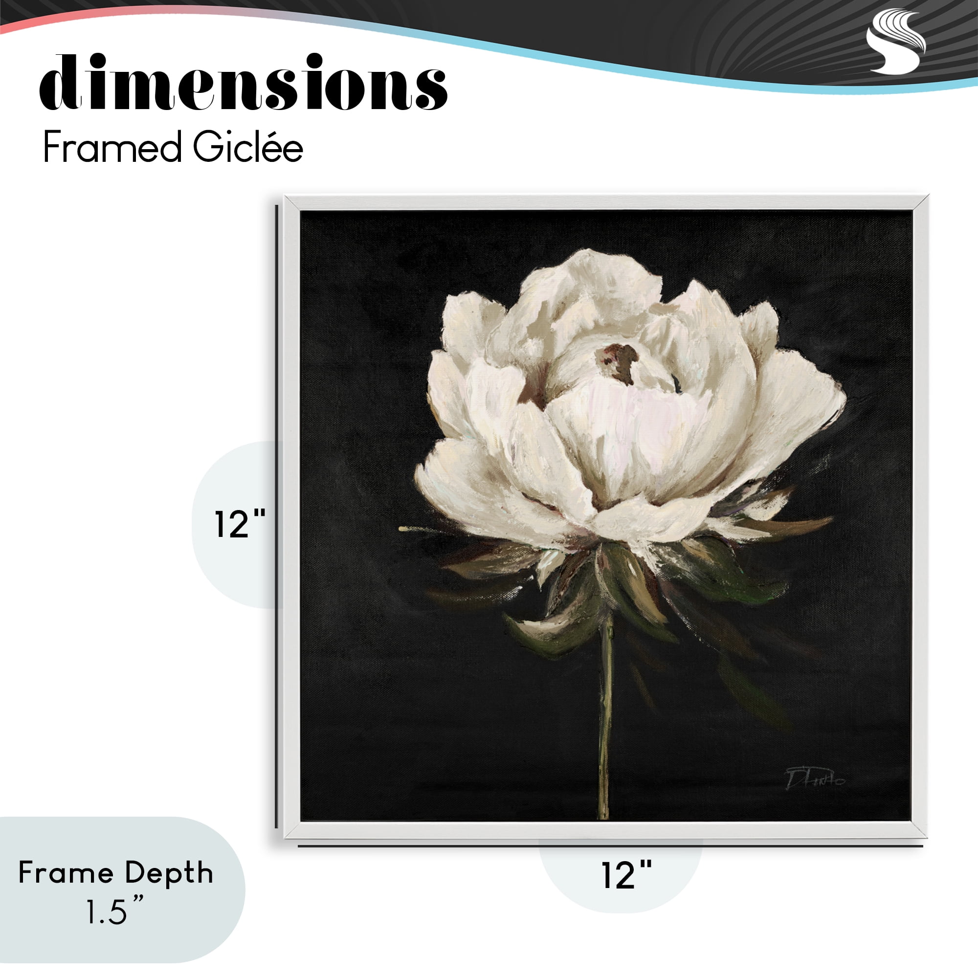 Stupell Industries Pretty Delicate Bloom on Black White Framed Giclee Art, design by Patricia Pinto