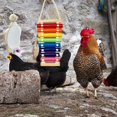 thumbnail image 4 of 3 unids/set juguete para mascotas colgante sonido pájaros de madera jugar columpio juguete para loro kaili Sencillez, 4 of 5