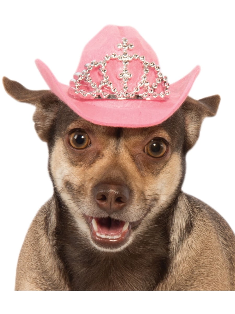 Собака в ковбойской шляпе. Шляпа на питомце. Розовые питомцы. Ковбой в розовом. Pink pets