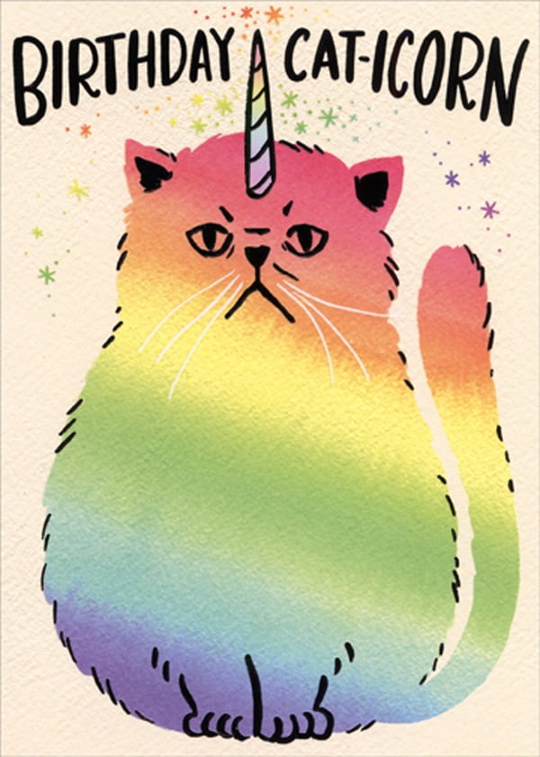 Greeting Card by Designer Greetings Cat with Wet Fur Funny Birthday Card 