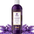 thumbnail image 1 of Baño de burbujas Maple Holistics Premium Lavanda 240 ml, 1 of 9