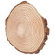thumbnail image 3 of Rodajas de madera natural, círculos de madera sin terminar, adornos irregulares con corteza, 29 x 26 cm (11,4 x 10,2 pulgadas), 3 of 14