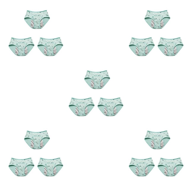 Qarigey 3 piezas de dibujos animados encantadores para niños y niñas, bragas para el período, ropa interior menstrual, calzoncillos, Type2 NO2