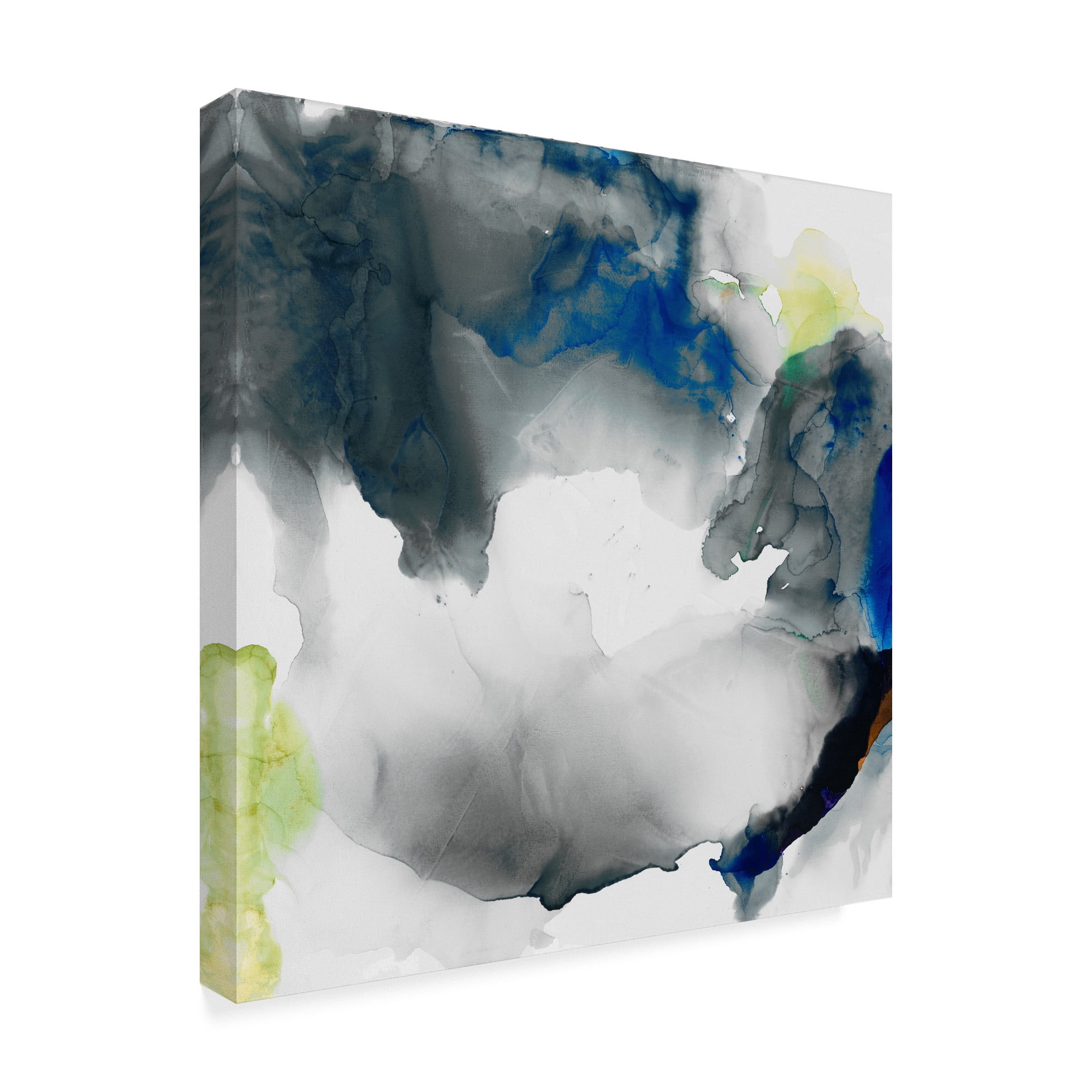 Trademark Fine Art 'Ephemeral II' Canvas Art by Sisa Jasper
