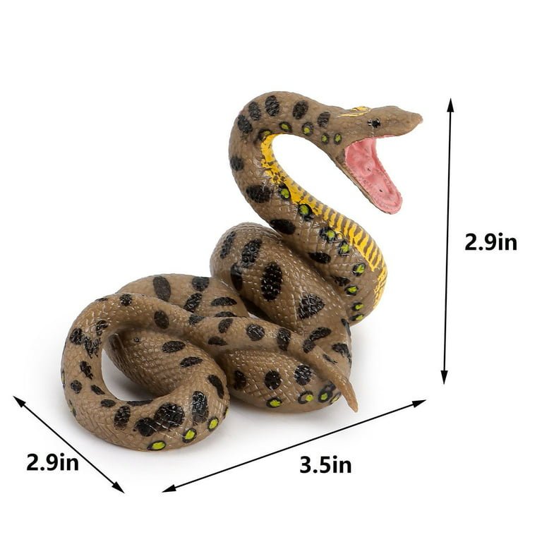  Rismise Snake Growth Cycle Cobra Growth Cycle Model Toys Snake  Figurines Toy Mini Cobra Snake Figure Snake Life Cycle Figurine Educational  Toy Snake Animal Trick Reptile Halloween Prank Props : Toys