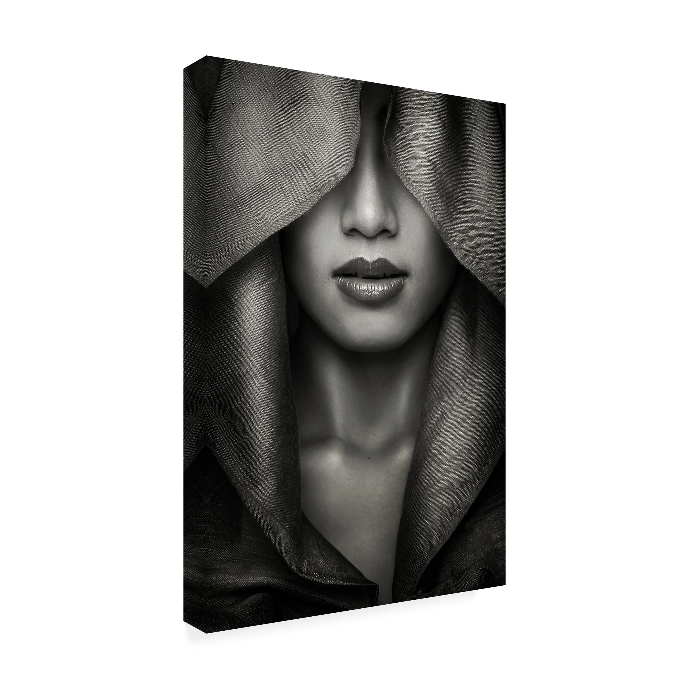 Azalaka 'Hood' Canvas Art