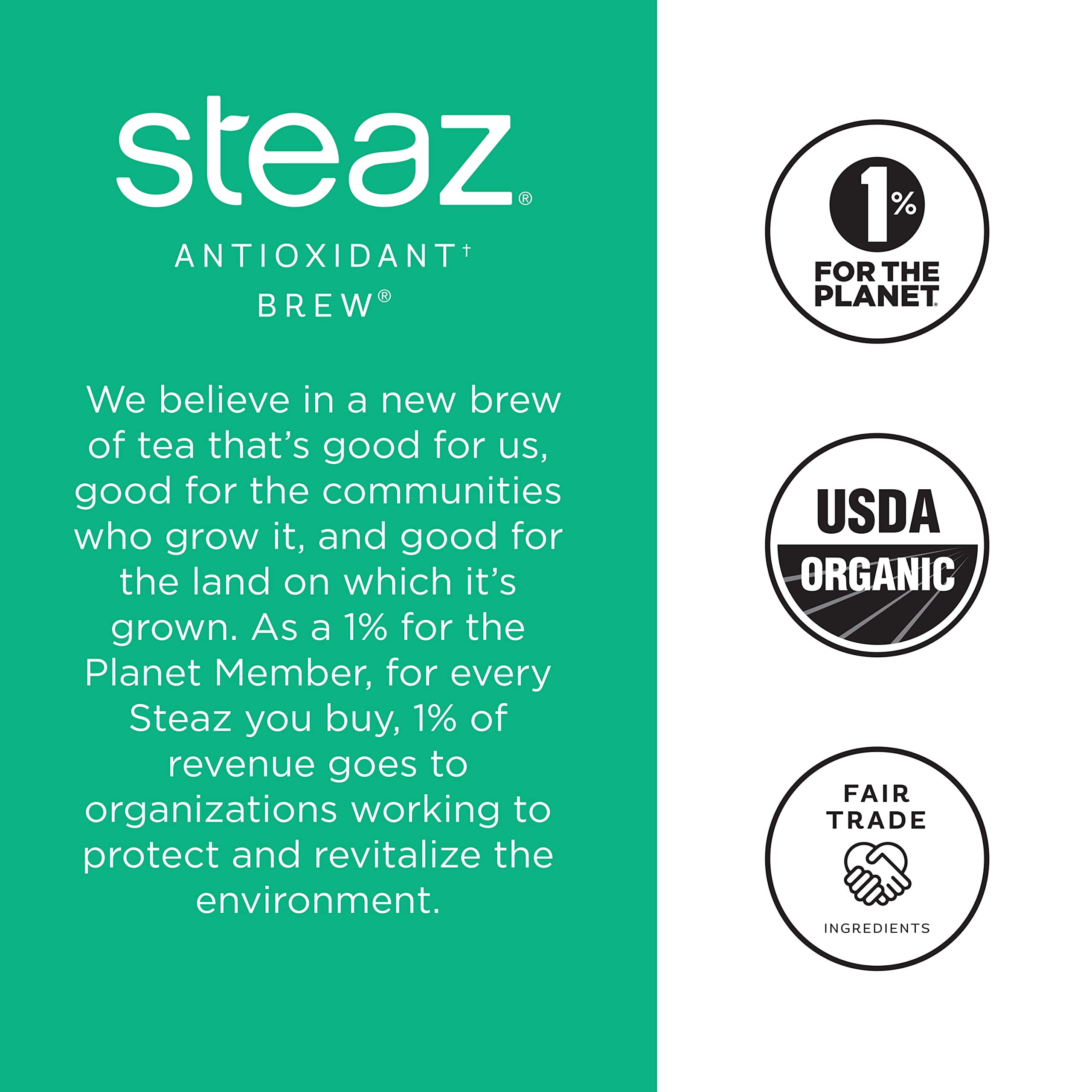Steaz Organic Iced Green Tea Antioxidant Brew, Mint, 16 Fl Oz, Pack of 12