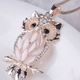 thumbnail image 3 of Jinsinto Jewelry Crystal Opal Owl Pendant Chain Necklace, 3 of 7
