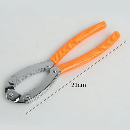 

2 pcs Nut Crackers Heavy Duty Walnut Crackers Metal Walnut Opening Tool for Kitchen