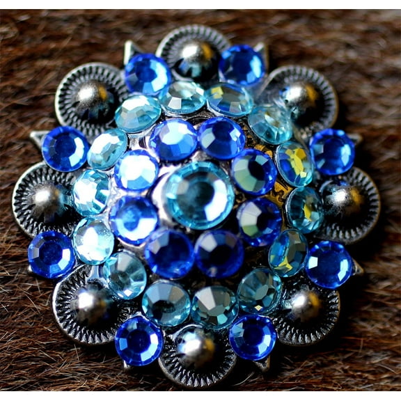 4 Conchos Rhinestone Horse Saddle Western Bridle  Co42