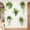 A, variant on Amzcrzy Wall Sticker Simulated Iron Mesh Green Luo Bedroom, Living Room, Entrance, Dormitory Home Decoration Wall Stickers Room Decor Classroom Decor Home Decor Wall Decor