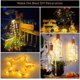 thumbnail image 2 of Guirnalda de luces LED de 10 luces, funciona con pilas, 10 LED, 1 m, resistente al agua, con alambre de cobre plateado, ideal para fiestas, bodas, tarros de cristal, manualidades, Navidad y bricolaje., 2 of 8