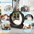 thumbnail image 6 of Muhub 41" Cat Wheel Exerciser for Indoor Cats,Cat Wherl, Cat Running Wheel for Fitness Weight(Black-L), 6 of 9