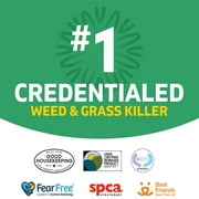 Spruce Weed & Grass Killer Refill, 64 oz.