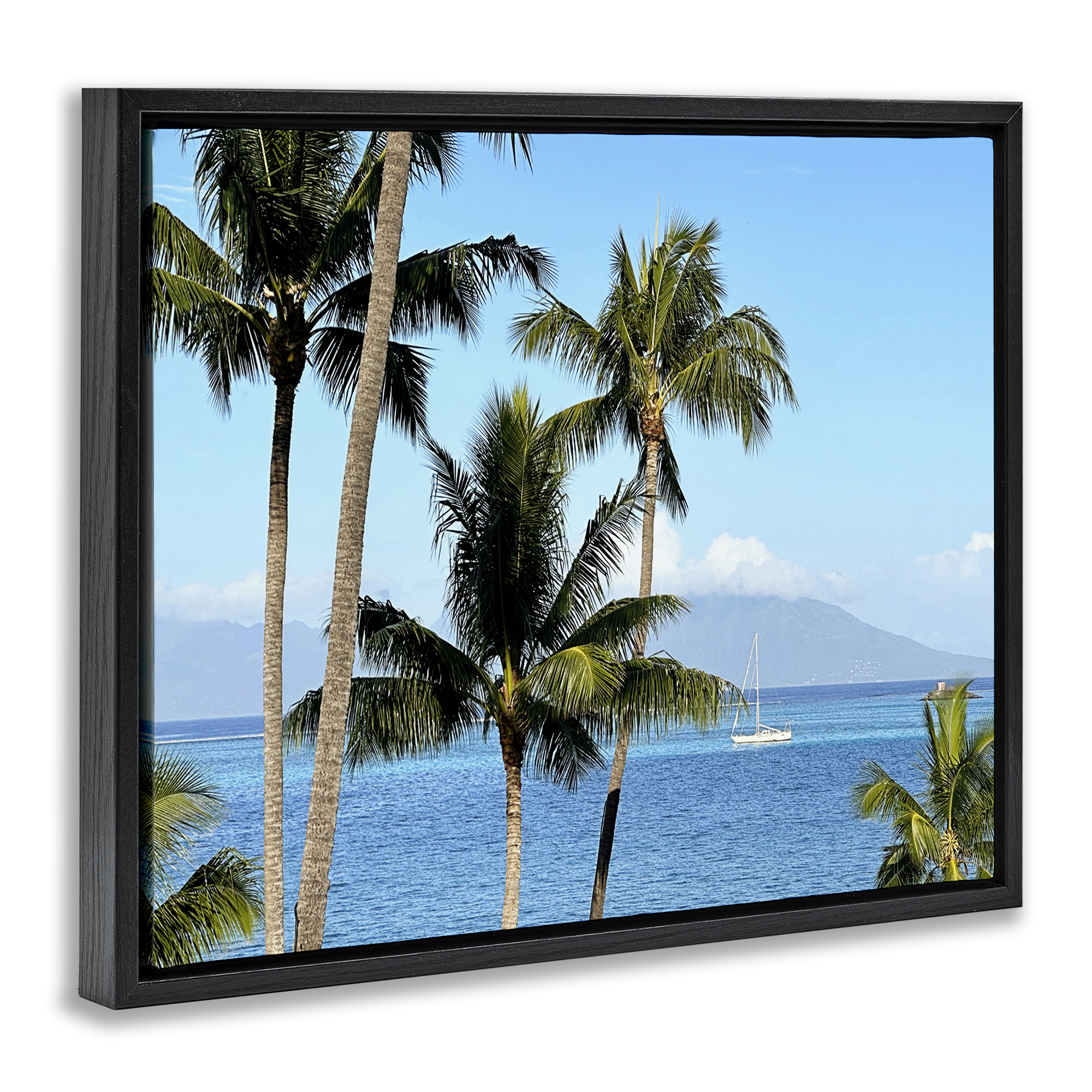 Stupell Industries Palm Trees & Sailboat Landscape Photography Black Floater Framed Canvas Art Print Wall Art, 31 x 25