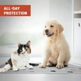 thumbnail image 4 of Hitime Waterproof Reusable Pets Training Pads Washable Pee Pads for Dogs with Leakproof Bottom, Puppy Pads for Potty Training (2 Pack, 18"x24"), 4 of 6