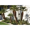 thumbnail image 3 of Hinkley Lighting - Shelter - 1 Light Large Outdoor Wall Lantern in Transitional, 3 of 14