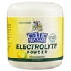 Celtic Sea Salt Electrolyte Powder, 4.2 Oz