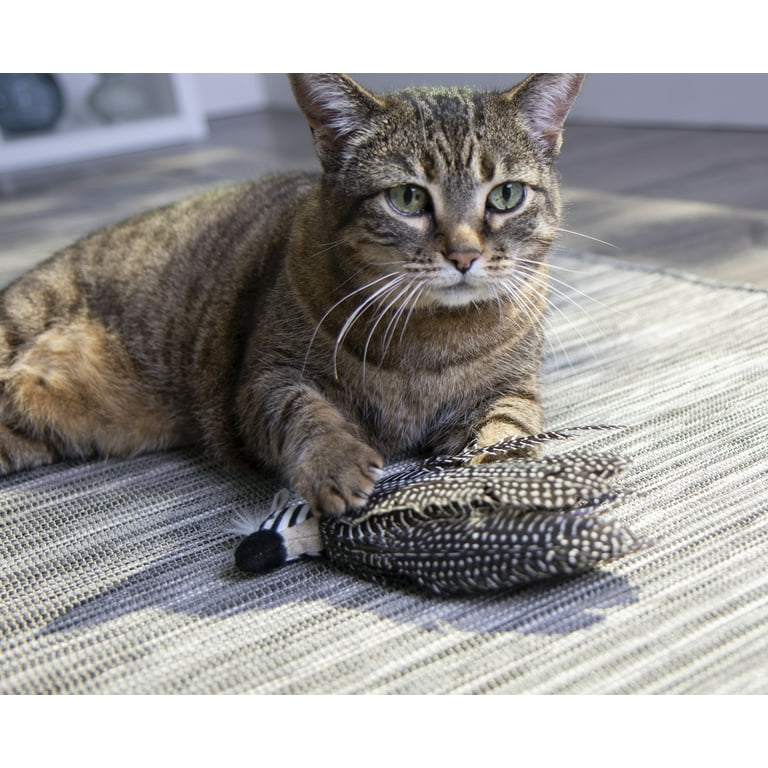 Petlinks HappyNip Zippy Zebra Catnip Cat Toy - Walmart.com