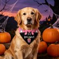 thumbnail image 6 of Twfbrm Halloween Dog Bandanas, Ghost & Bat Print Triangle Fabric Pet Scarf for Boys and Girls, Adjustable Reversible Neckerchief Washable Puppy Bibs Halloween Pet Costume for Cats and Dogs, 6 of 6
