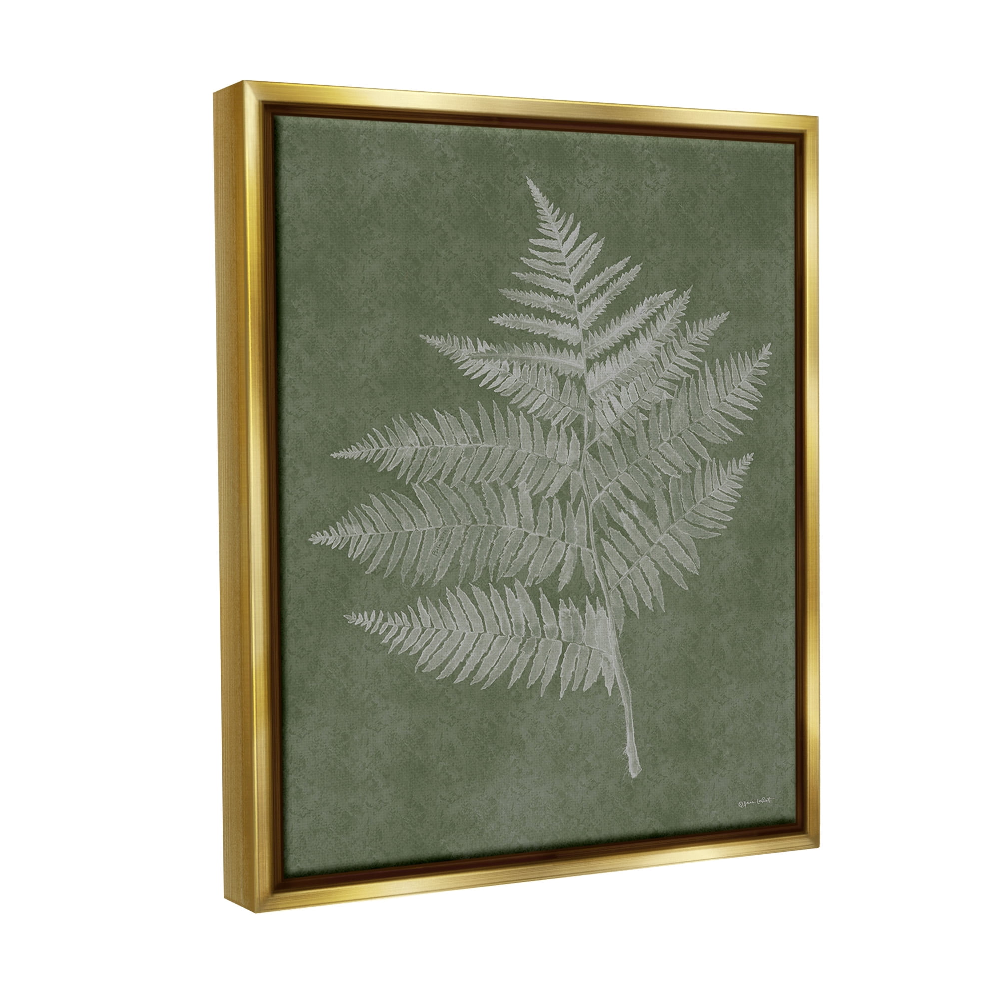 Stupell Industries Asymmetrical Fern Plant Botanical & Floral Painting Gold Floater Framed Canvas Art Print Wall Art, 17 x 21