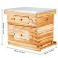 thumbnail image 4 of Bee Hive 20 Frame Bee Hives Starter Kit, Beeswax Coated Fir Wood, 1 Deep + 1 Medium Bee Boxes Langstroth Beehive Kit, Transparent Acrylic Windows with Foundations for Beginners Pro Beekeepers, 4 of 6