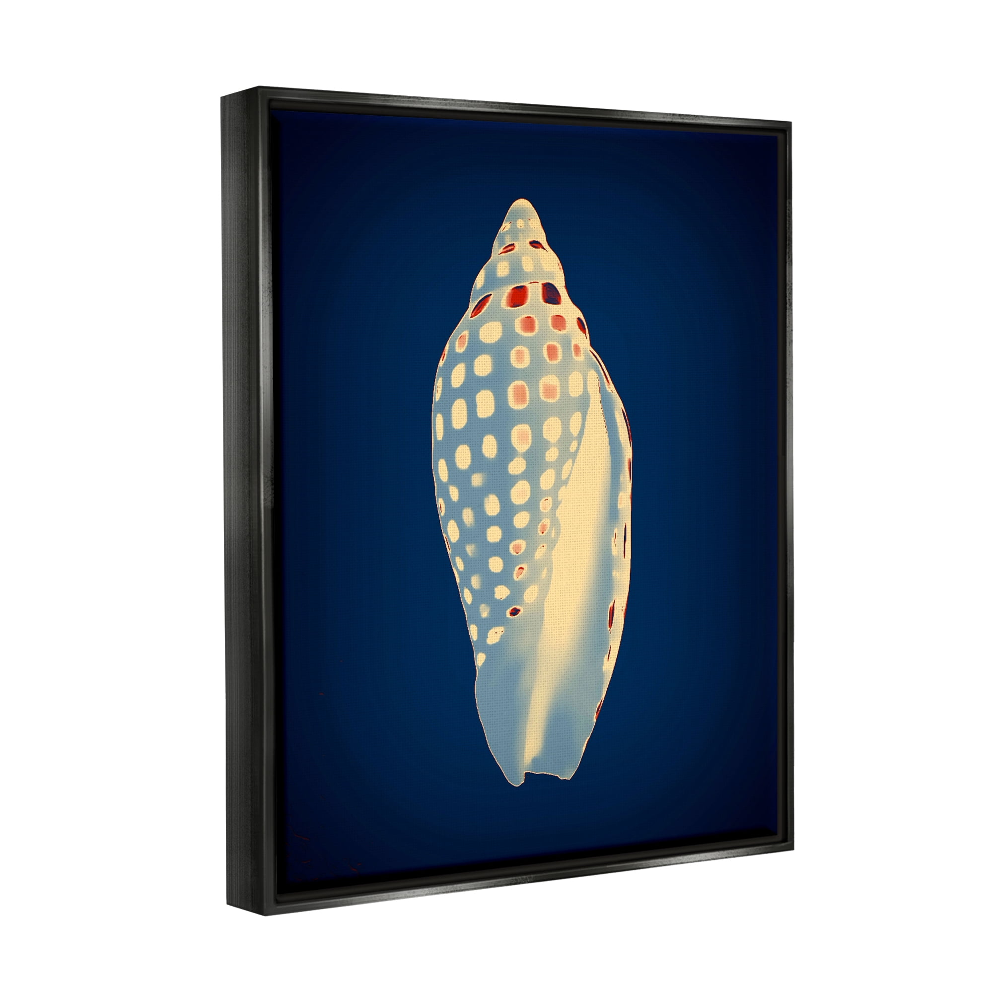 Stupell Industries Contemporary Conch Shell Animals & Insects Painting Black Floater Framed Art Print Wall Art, 17 x 21