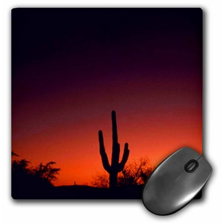 3dRose Sabino Canyon, Mouse Pad, 8 by 8 inches