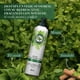 thumbnail image 4 of Crema para peinar Herbal Essences Detox & hidratación ligera 300 ml, 4 of 5