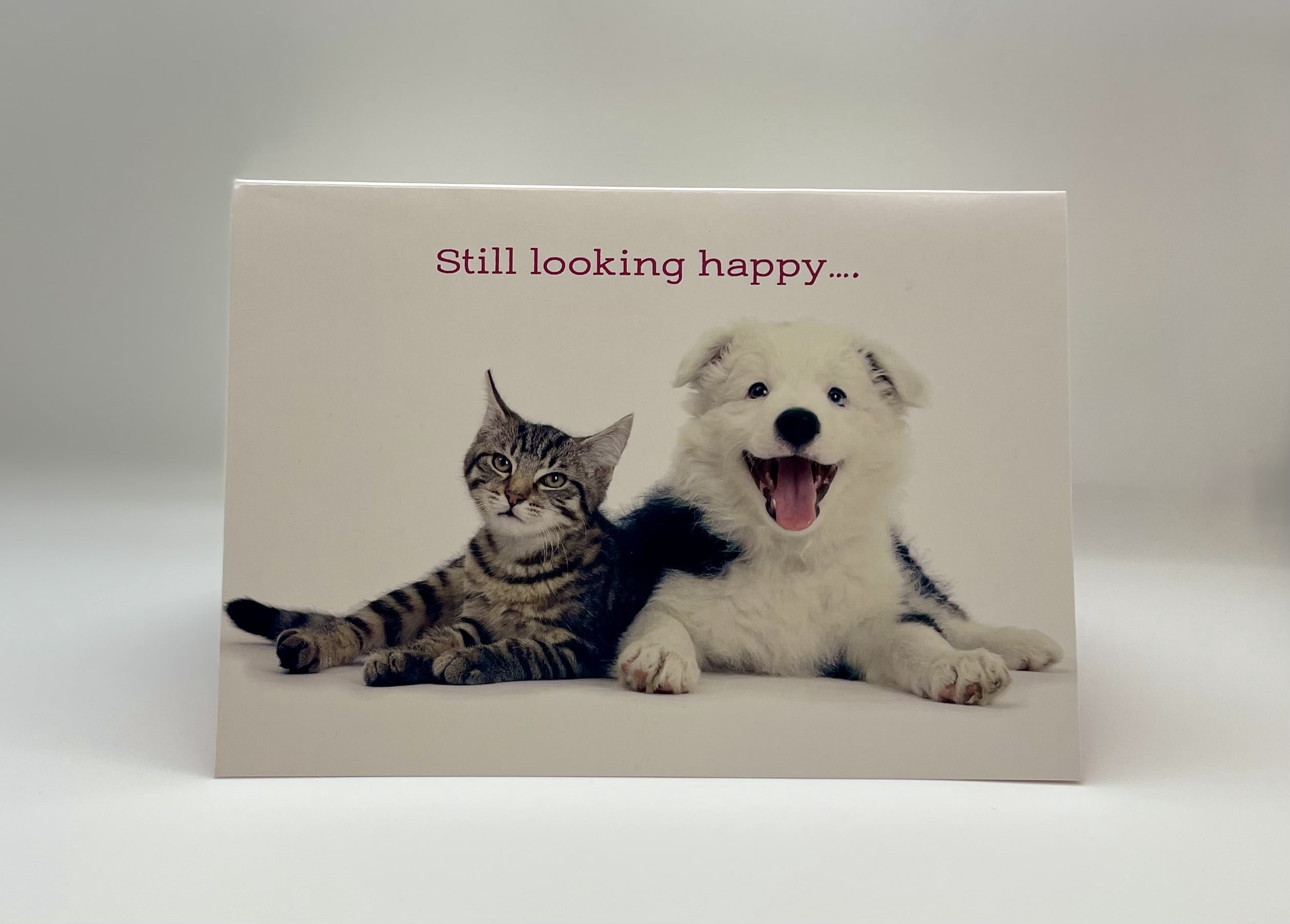 Gracefully-Yours 190 Anniversary Better Together Greeting Cards