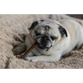 thumbnail image 5 of Standard 6" Bully Stick Premium, 5 of 6