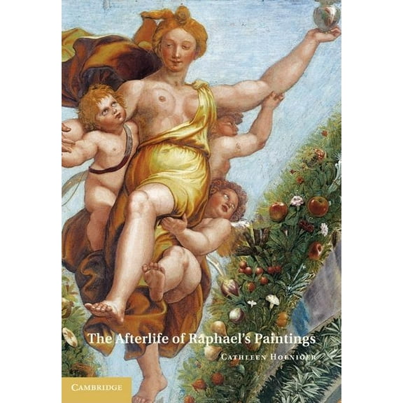 The Afterlife of Raphael's Paintings, (Hardcover)