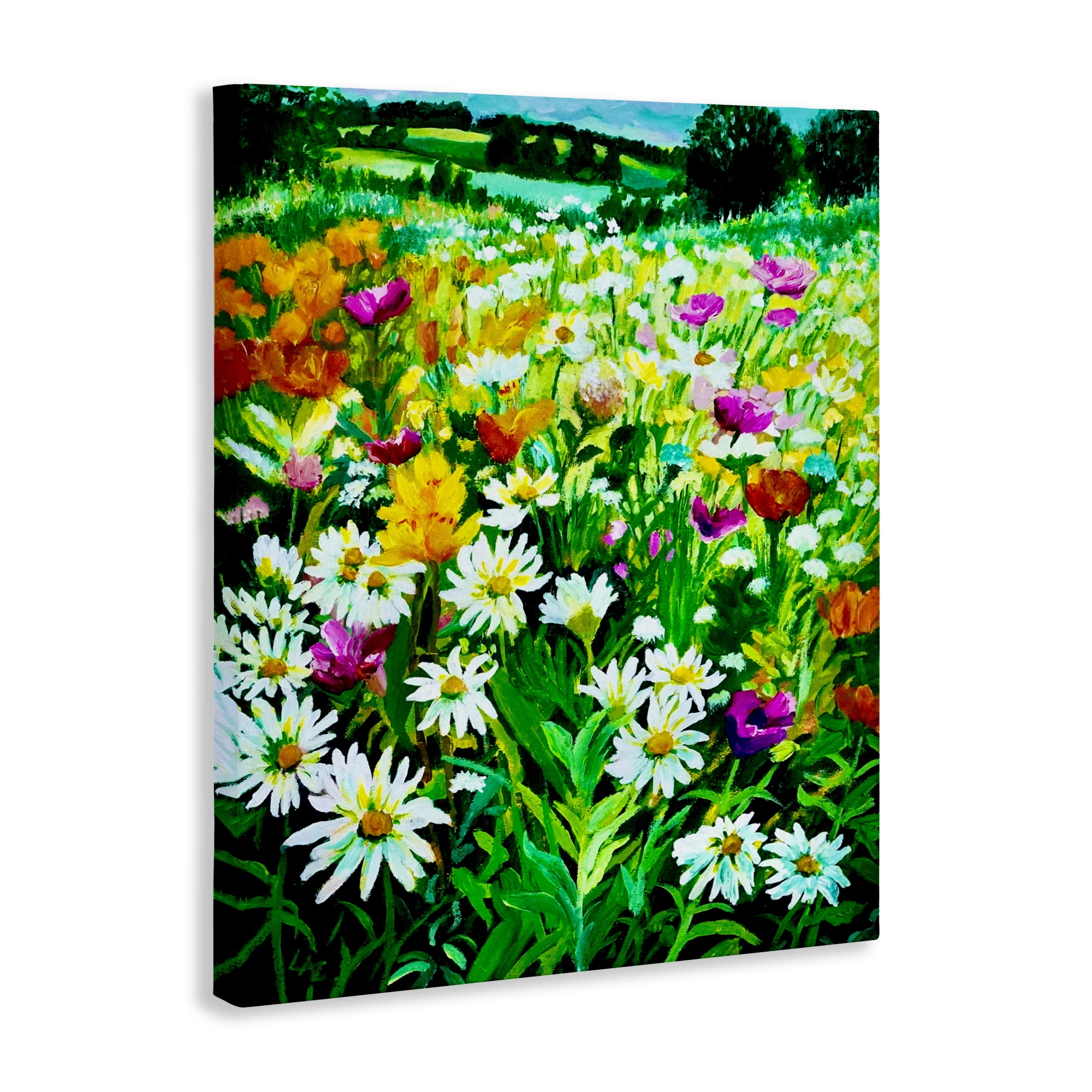 Stupell Industries Hillside Fusion Meadow Canvas Wall Art, design by Lee Ann Zirbes