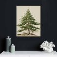 thumbnail image 5 of CMMY Christmas Tree Art Print, Vintage Fir Botanical Sketch, Christmas Tree Painting Print, Pine Tree Antique Print, Christmas Tree Wall Art, 5 of 5
