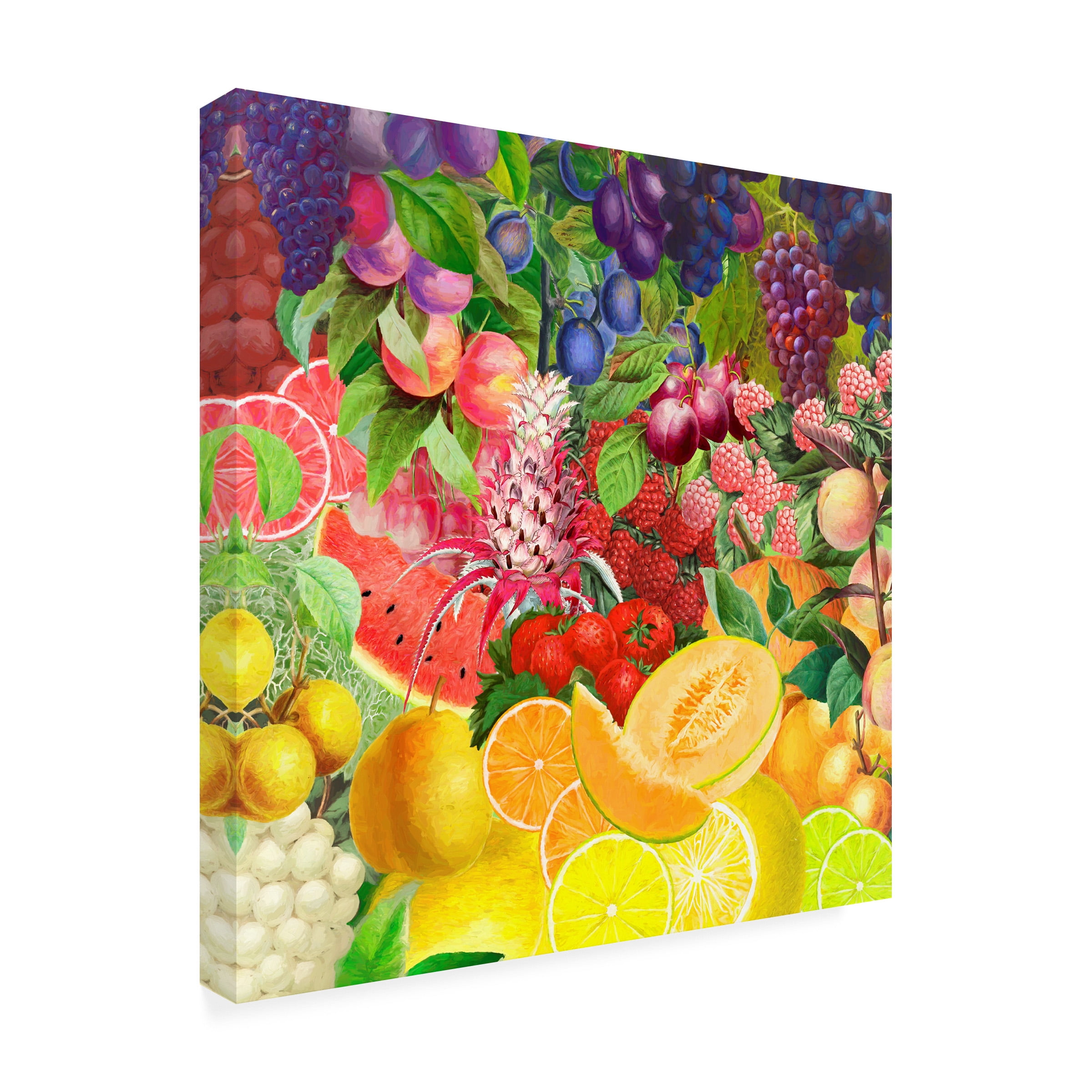 Cora Niele 'Rainbow Fruits' Canvas Art