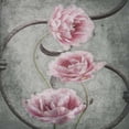 thumbnail image 2 of Grey, Jace 26x26 Gold Ornate Wood Framed with Double Matting Museum Art Print Titled - Flowers, 2 of 4