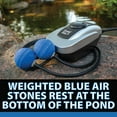 thumbnail image 5 of CrystalClear PondAir 2 Aeration Kit for Small Ponds & Water Gardens, Improve Water Oxygenation, 5 of 11