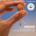 thumbnail image 2 of Herbal Essences bio:renew Argan Oil of Morocco SHAMPOO, 400ml, No Parabens No Colourants, 2 of 3