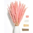 thumbnail image 2 of Fluffy Pampas Grass Dried 15 piezas - Flores secas - Natural, sostenible y fácil de limpiar - Decoración elegante Xemadio MZQ-0839-2, 2 of 8