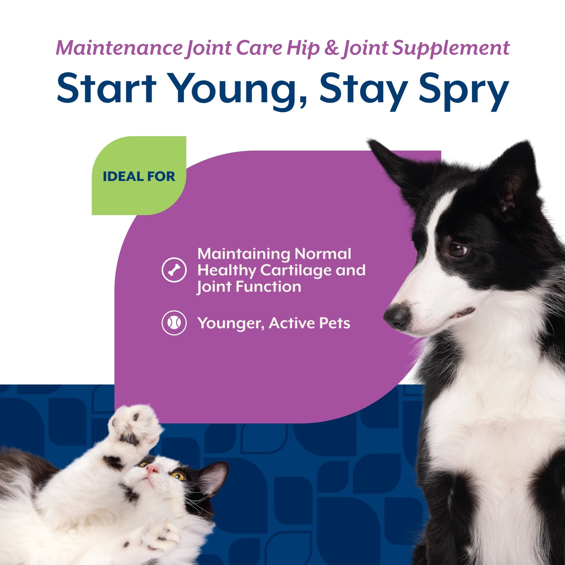 NaturVet Maintenance Joint Care Hip & Joint Supplement for Dogs and Cats, Bacon and Chicken Flavor, 70 Count
