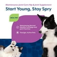 thumbnail image 6 of NaturVet Maintenance Joint Care Hip & Joint Supplement for Dogs and Cats, Bacon and Chicken Flavor, 70 Count, 6 of 9