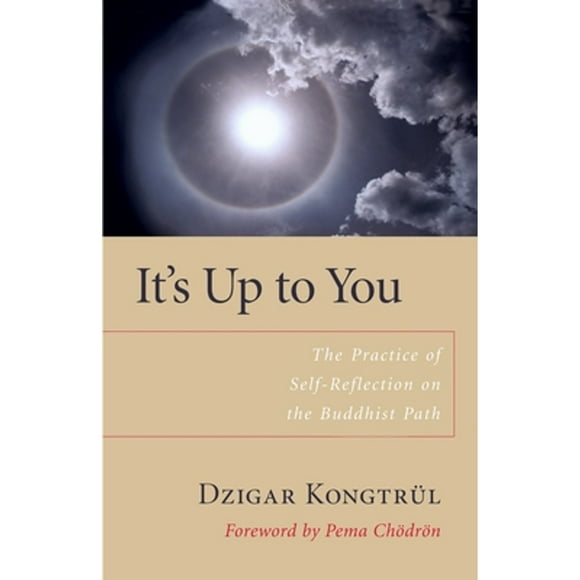 Pre-Owned It's Up to You: The Practice of Self-Reflection on the Buddhist Path (Paperback 9781590303818) by Dzigar Kongtrul, Pema Chodron, Matthieu Ricard