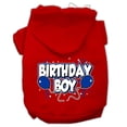 thumbnail image 7 of Pet, Dog  Cat Hoodie Screen Printed, "Birthday Boy", 7 of 7